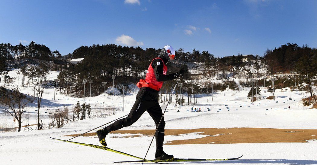 Olympic Cross-Country Skiers Eat 8,000 Calories a Day. It’s Exhausting.