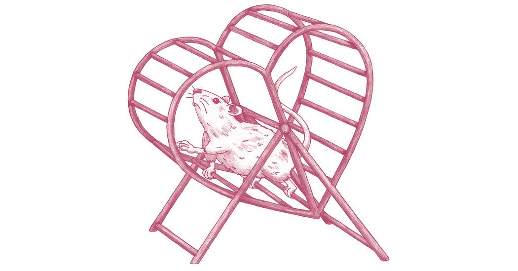 Well : What Young Rats’ Workouts Could Tell Us About the Human Heart