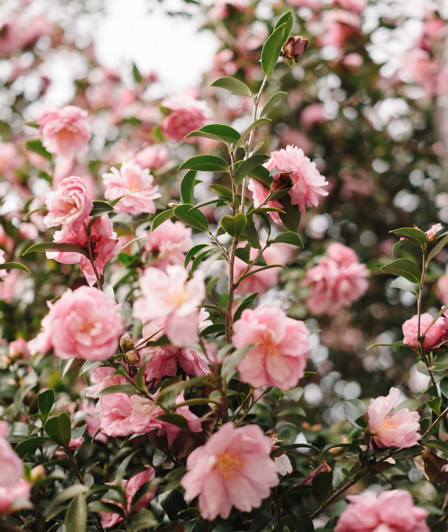 Have a Wonderful Weekend.