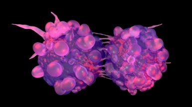 How Cancer Can Become Therapy-Resistant