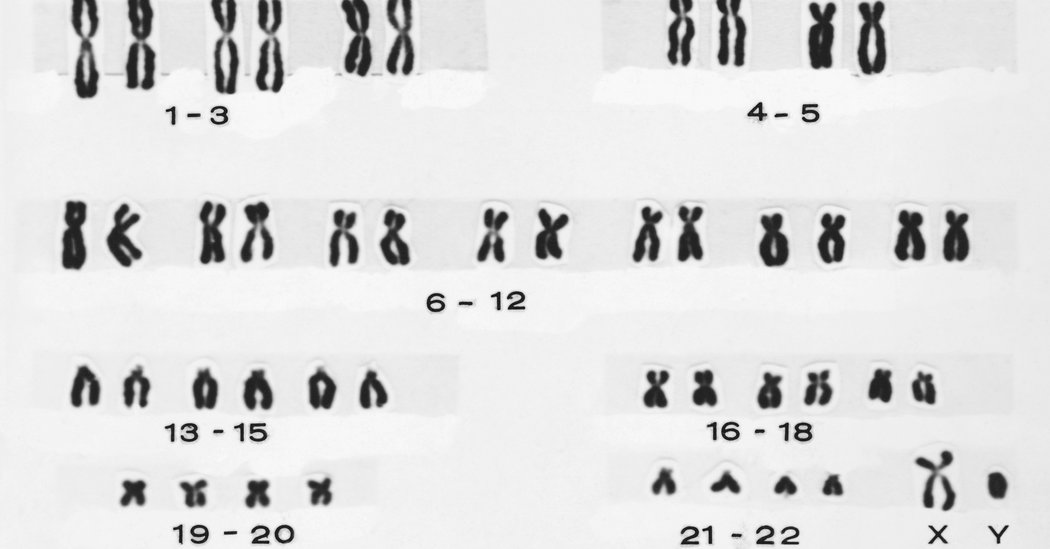 The Golden State Killer Is Tracked Through a Thicket of DNA, and Experts Shudder