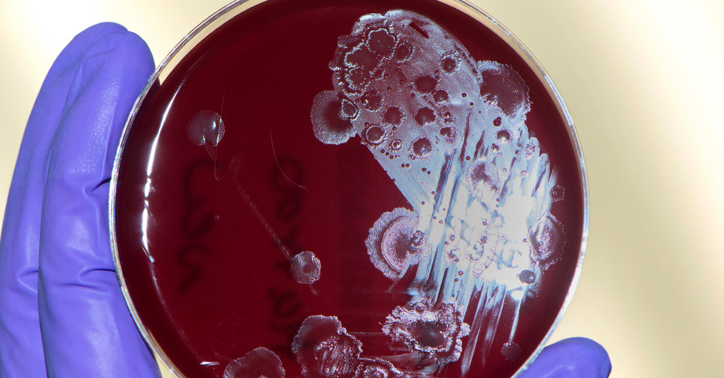 Antibiotics Weren’t Used to Cure These Patients. Fecal Bacteria Were.