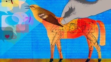 Biases Make People Vulnerable to Misinformation Spread by Social Media