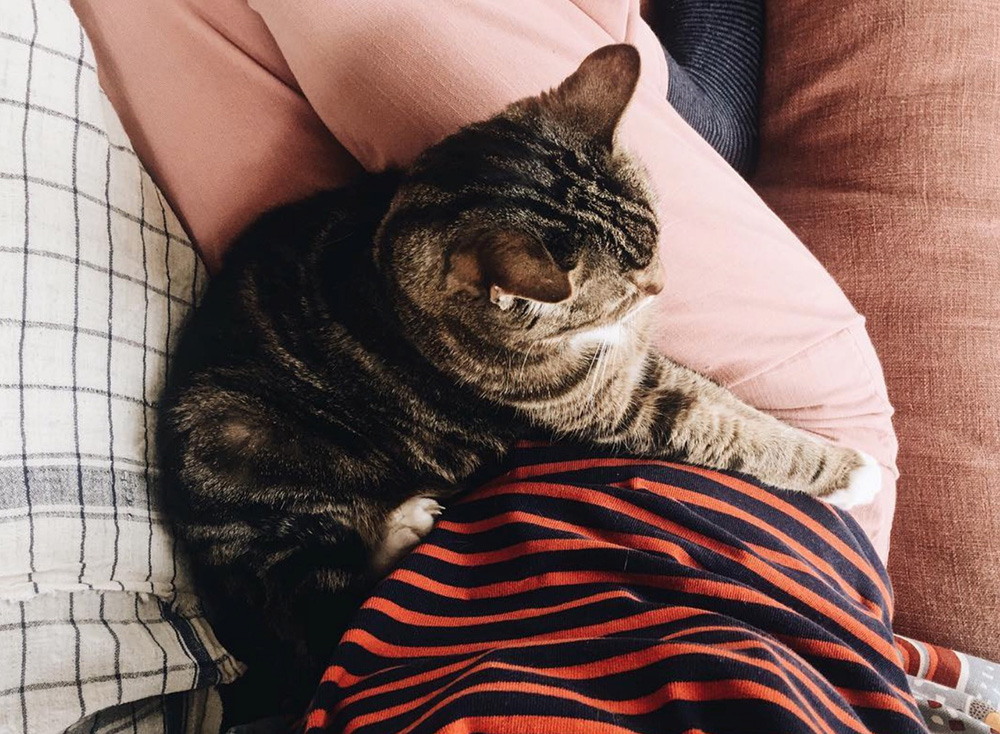 Have a Sweet (Long) Weekend.