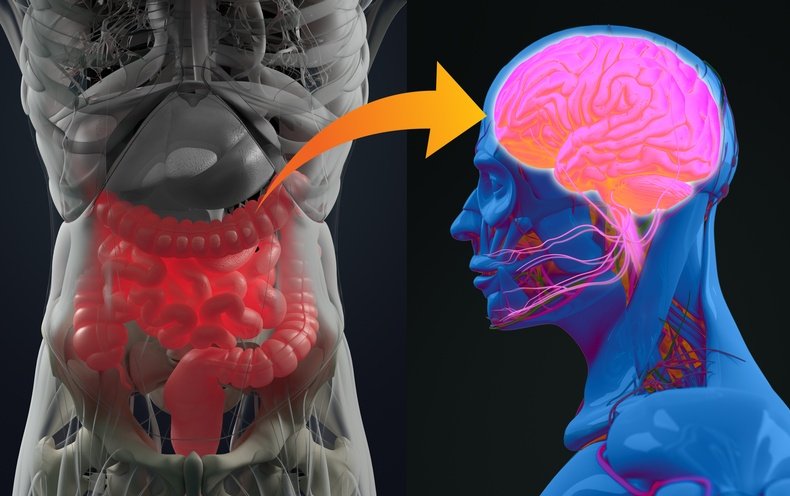 Is Your Gut Making You Depressed or Anxious?