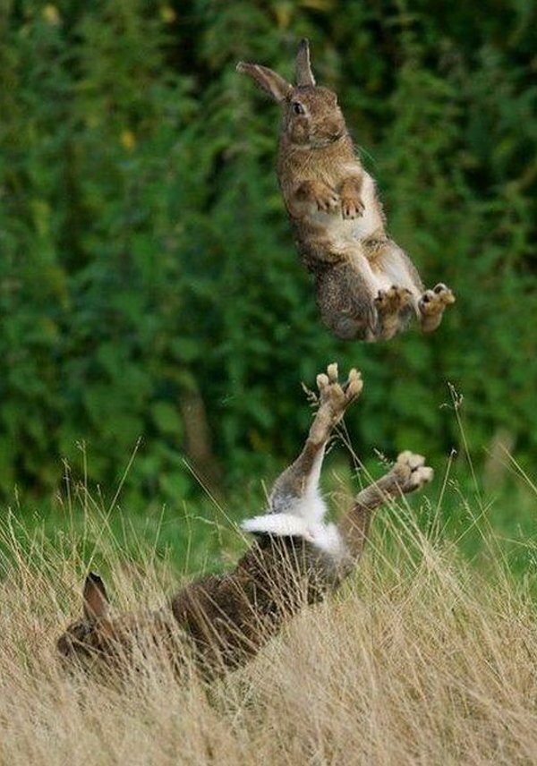 picdump 950 (25)