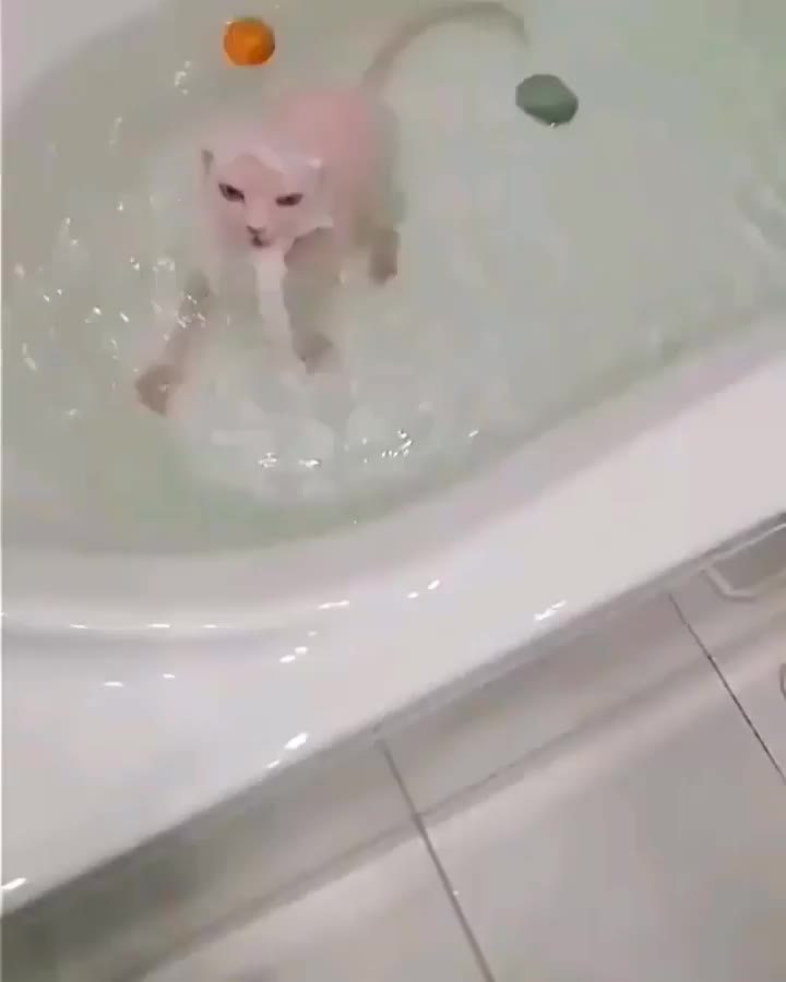 confused raw chicken breast attempts to resist marinade