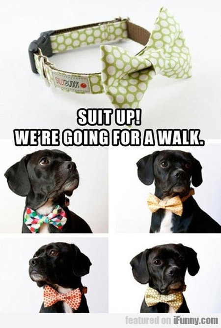 Suit Up! We’re Going For A Walk.