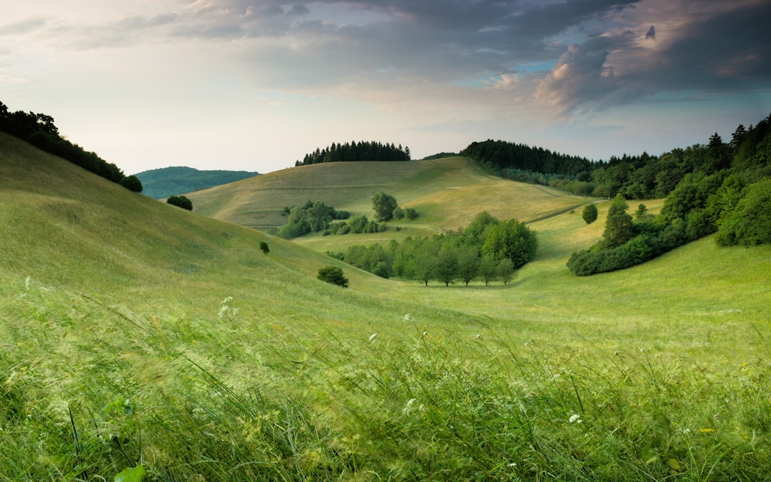 Photo Battlefield landscape