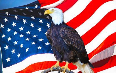 Empowering Our Heroes: Veteran-Owned Businesses