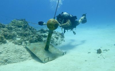 US forces ‘got the job done’ in clearing mines from Strait of Hormuz, CENTCOM boss says
