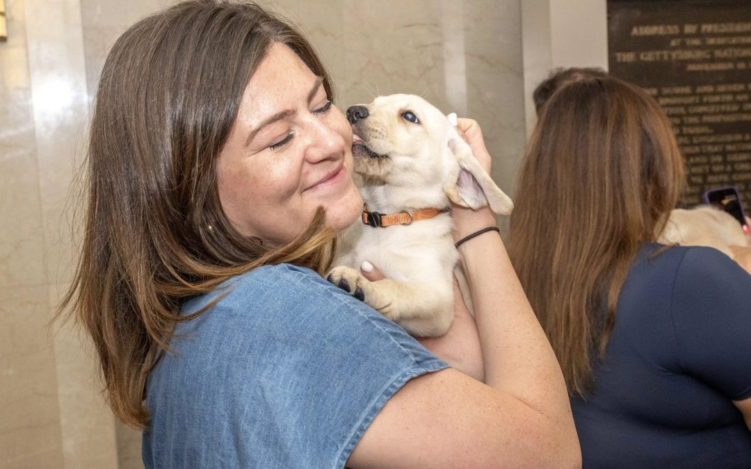 Puppies with a purpose visit VA’s Central Office
