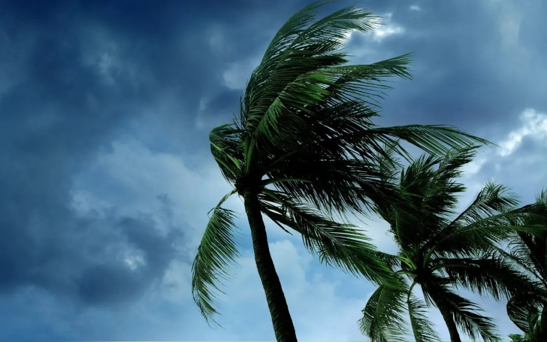 Standing strong after the storm: Natural disasters fraud prevention