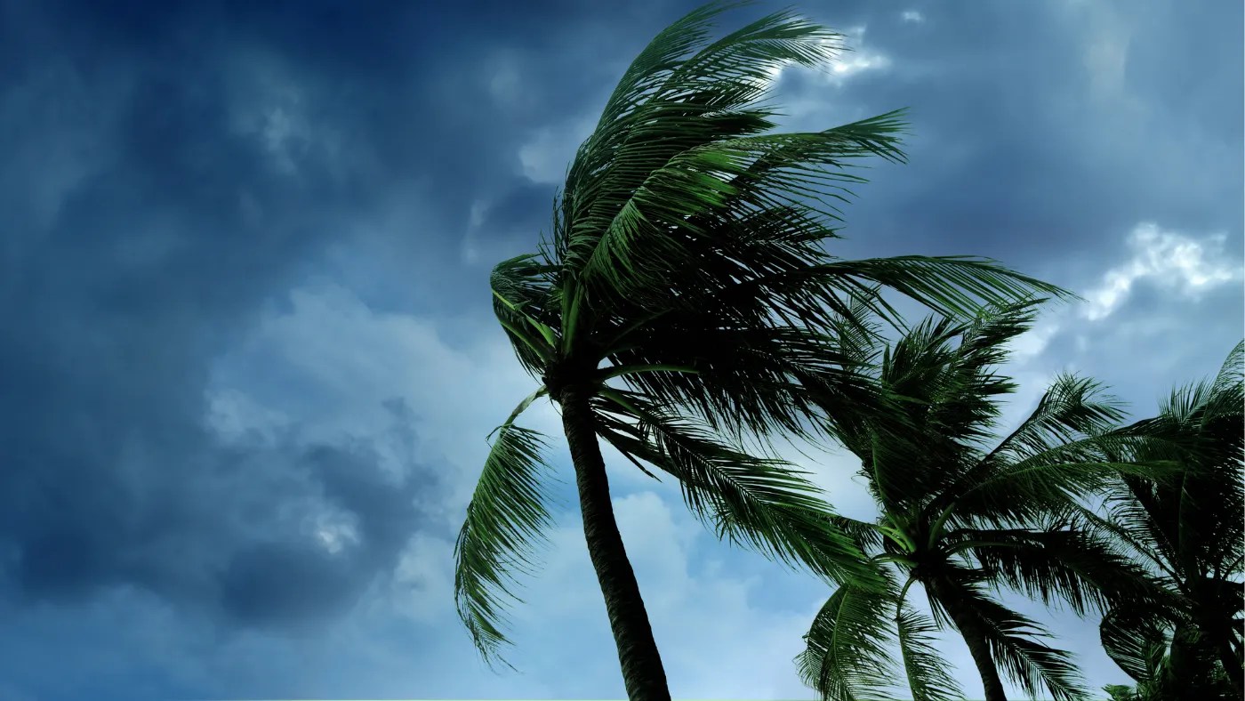 ND-Storm-VA-News