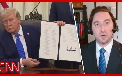 Trump targets birthright citizenship again: Legal experts react