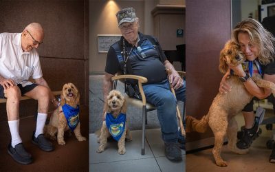 28 seconds of calm: How a therapy dog helped a Veteran in crisis