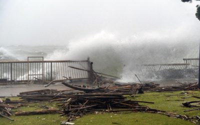 Yokosuka cleans up after Typhoon Dujuan dumps nearly 10 inches of rain