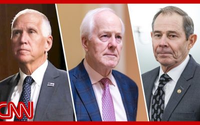 3 GOP Senators call for an investigation into Donald Trump Jr.