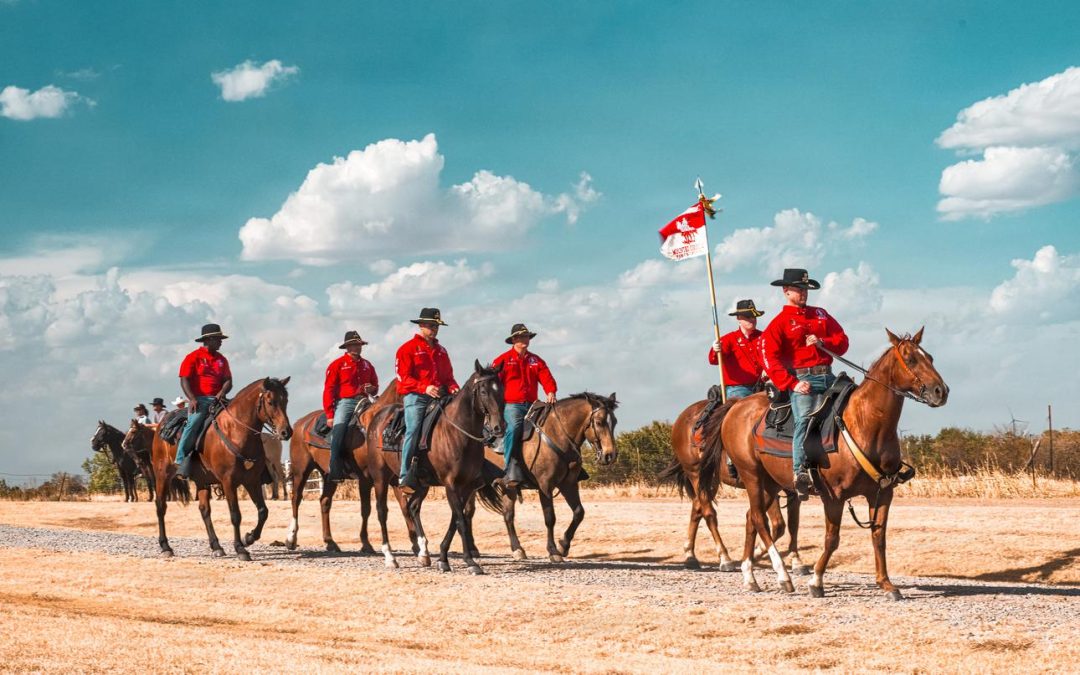 US event keeps cavalry traditions going as war horses show staying power
