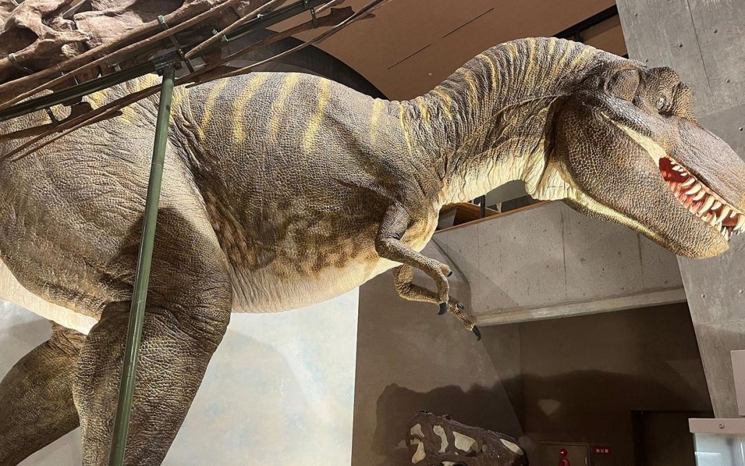 Dinosaurs come alive at natural history museum north of Tokyo