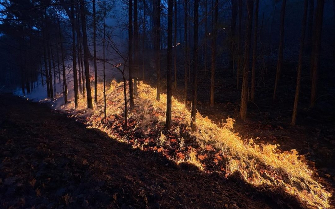 Coalition casts wildfire prevention as a military readiness issue