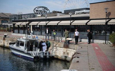 Black Sea tension over attacks on commercial ships comes to NATO’s attention
