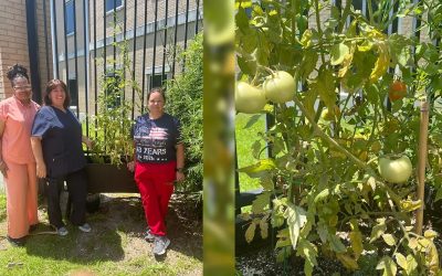 From dirt to dignity: How a nurse’s garden became a path to healing